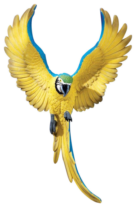 Phineas the Flapping Macaw Plaque