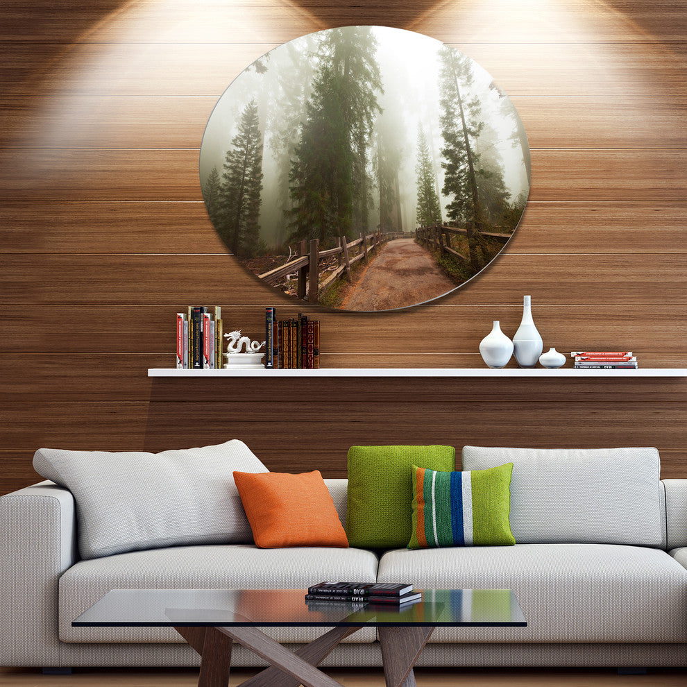 Foggy Sequoya National Park, Landscape Large Disc Metal Wall Art, 11"