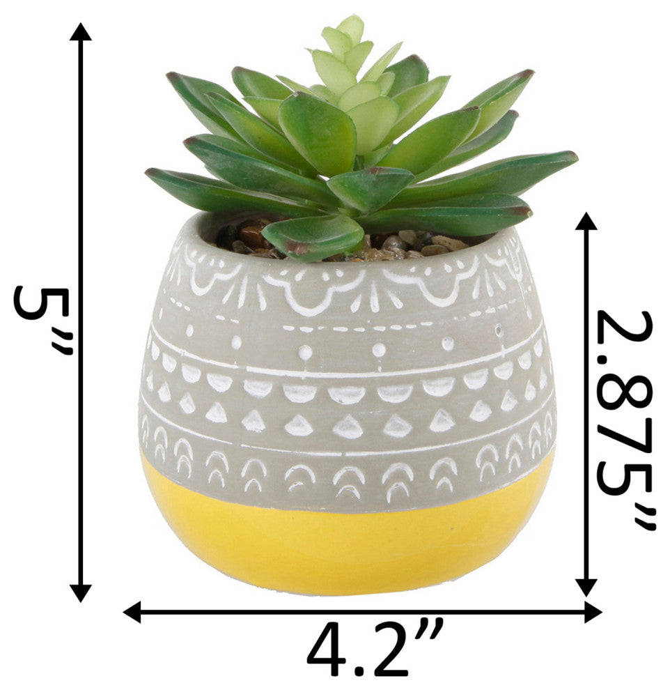 Succulent In 2 Tone Mayan Ceramic Pot,Yellow