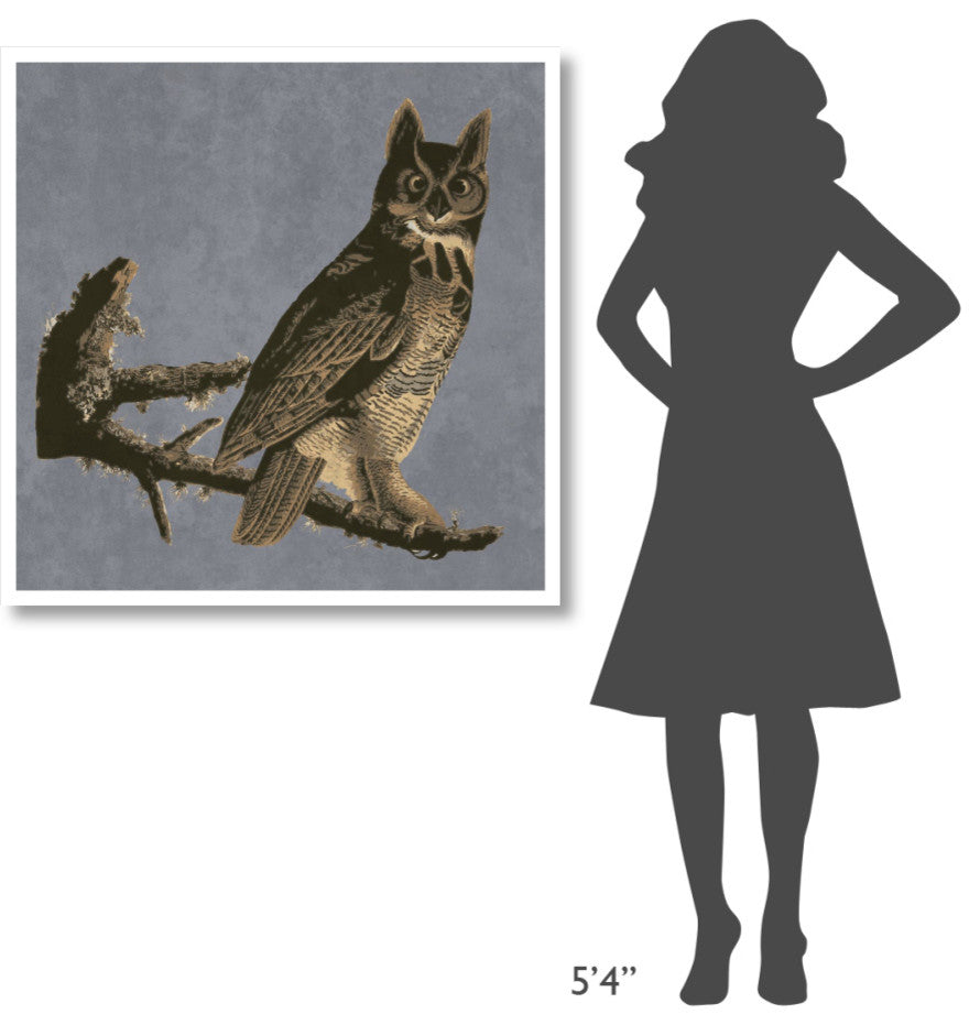 "Audubon Decor - Horned Owl Detail" Digital Paper Print by BG.Studio, 38"x38"