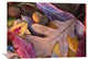 "Acorns, Oak, Cherry And Sumac, Fall, Petit Jean State Park, Arkansas" Artwork