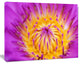 Pink Yellow Abstract Lotus Flower, Flowers Canvas Wall Artwork, 60"x28"
