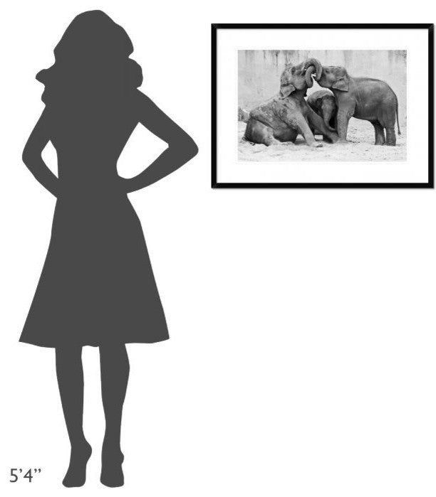 "Manage A' Trois" Framed Digital Print by Antje Wenner-Braun, 32x24"