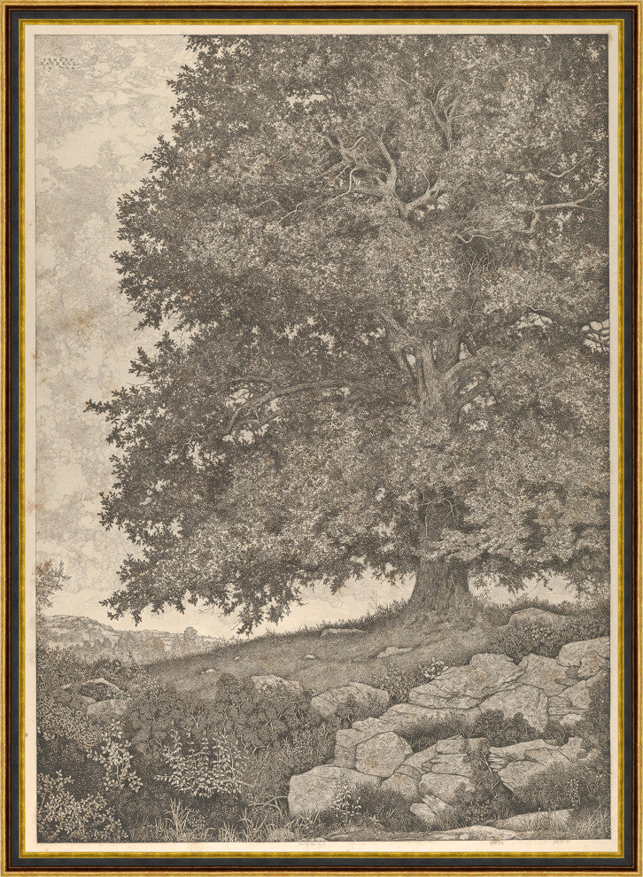 Grandfathers Tree, Giclee Reproduction Artwork