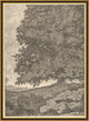 Grandfathers Tree, Giclee Reproduction Artwork