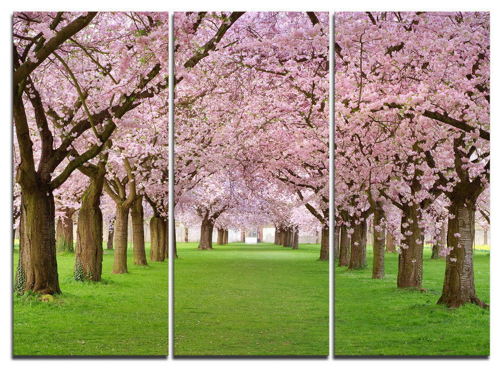 "Stunning Cherry Blossoms Plenitude" Metal Wall Art, 3 Panels, 36"x28"