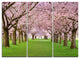"Stunning Cherry Blossoms Plenitude" Metal Wall Art, 3 Panels, 36"x28"