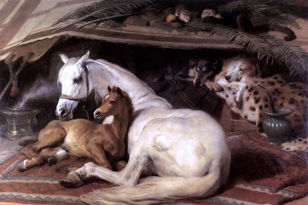 Sir Edwin Henry Landseer The Arab Tent, 18"x27" Gallery Wrapped Canvas Print
