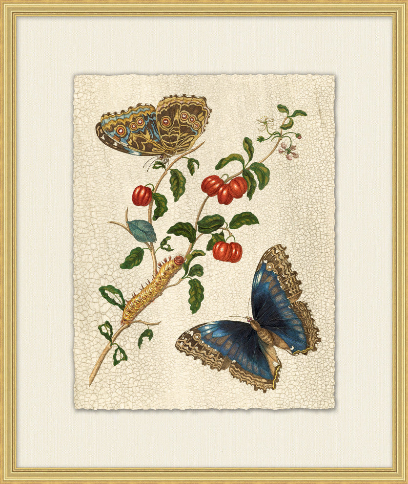 Prevailing Nature 5, Giclee Reproduction Artwork