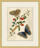 Prevailing Nature 5, Giclee Reproduction Artwork