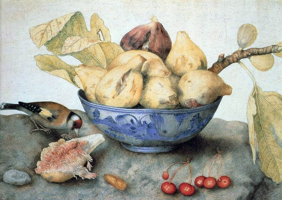 Giovanna Garzoni China Bowl with Figs  a Bird  and Cherries Gallery Wrap Canvas