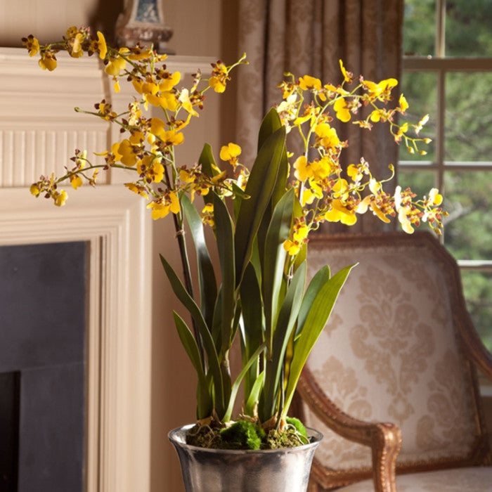 Luxe Yellow Dancing Orchid Faux Floral Artificial Plant 44in Drop In Flowers