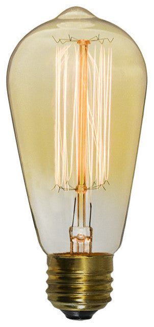 Antique Edison Bulb, 40 Watt