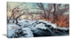 "Ukraine Winter Forest" Canvas Print