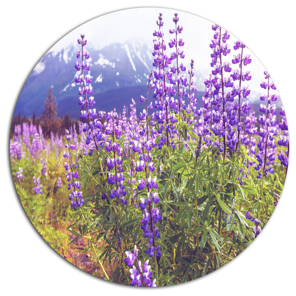 Meadow In Alaska With Purple Flowers, Flower Round Wall Art, 23"