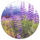 Meadow In Alaska With Purple Flowers, Flower Round Wall Art, 23"
