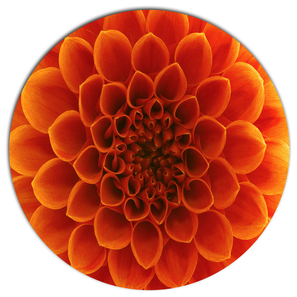 Dark Yellow Flower And Petals, Floral Disc Metal Wall Art, 11"