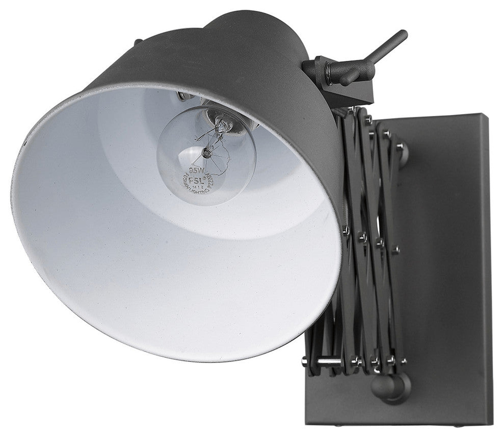 Plexus 1-Light Gray Sconce