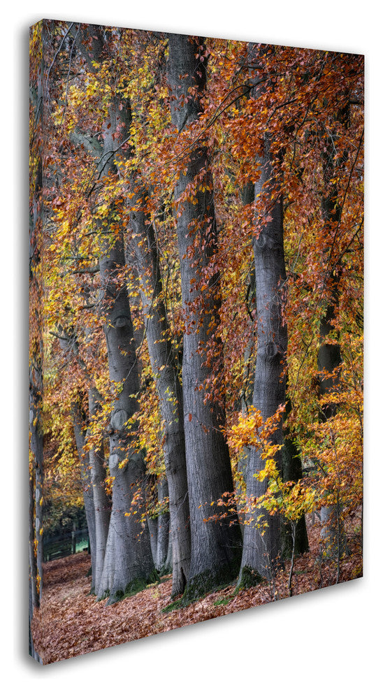 Cora Niele ''Autumn Beeches II'' Canvas Art