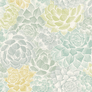 Mr. Kate Succulent Plant Peel and Stick Wallpaper