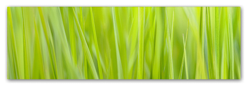 Cora Niele ''Green Grass Scape'' Canvas Art