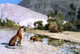 Jean-Leon Gerome Thirst (also known as Tigress and Her Cubs) Gallery Wrap Canvas