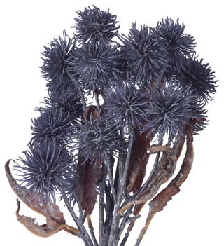 Close-up of the flower heads on white background (alternate_white_close).