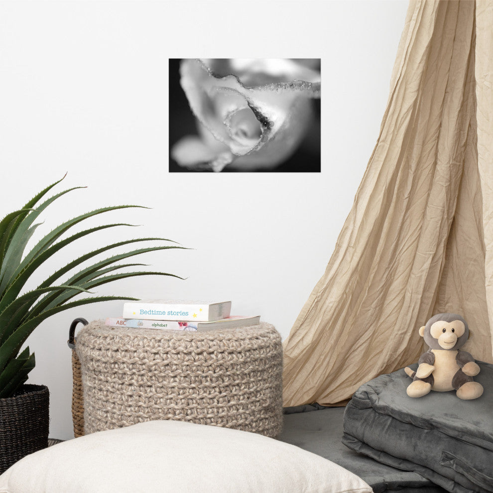 Infrared Rose Nature Photography, Floral Unframed Wall Art Print, 12