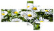 Spring Background with White Flowers, Floral Canvas Art Print, 60"x32", 5 panels