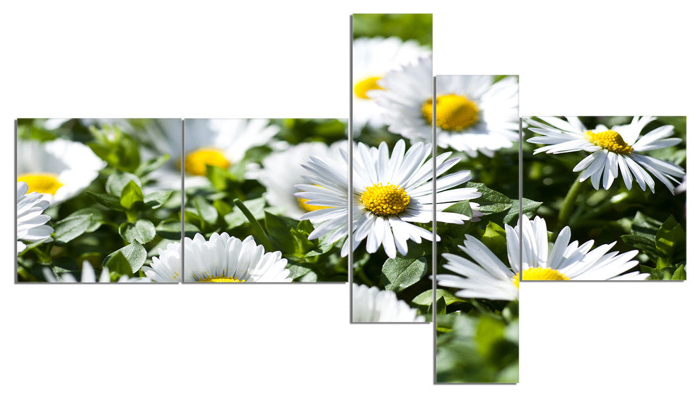 Spring Background with White Flowers, Floral Canvas Art Print, 60"x32", 5 panels