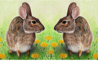 Rabbits Door Mat, 18 Inches X 26 Inches