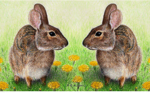 Rabbits Door Mat, 18 Inches X 26 Inches