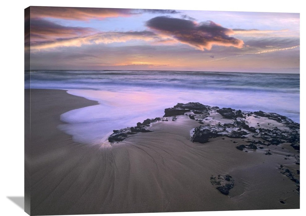 "Sandy Beach, Oahu, Hawaii" Artwork, 40" x 30"