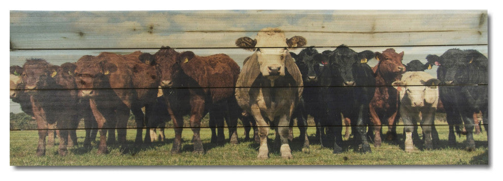 36" Charming Cow Herd Wood Plank Wall Art