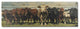 36" Charming Cow Herd Wood Plank Wall Art