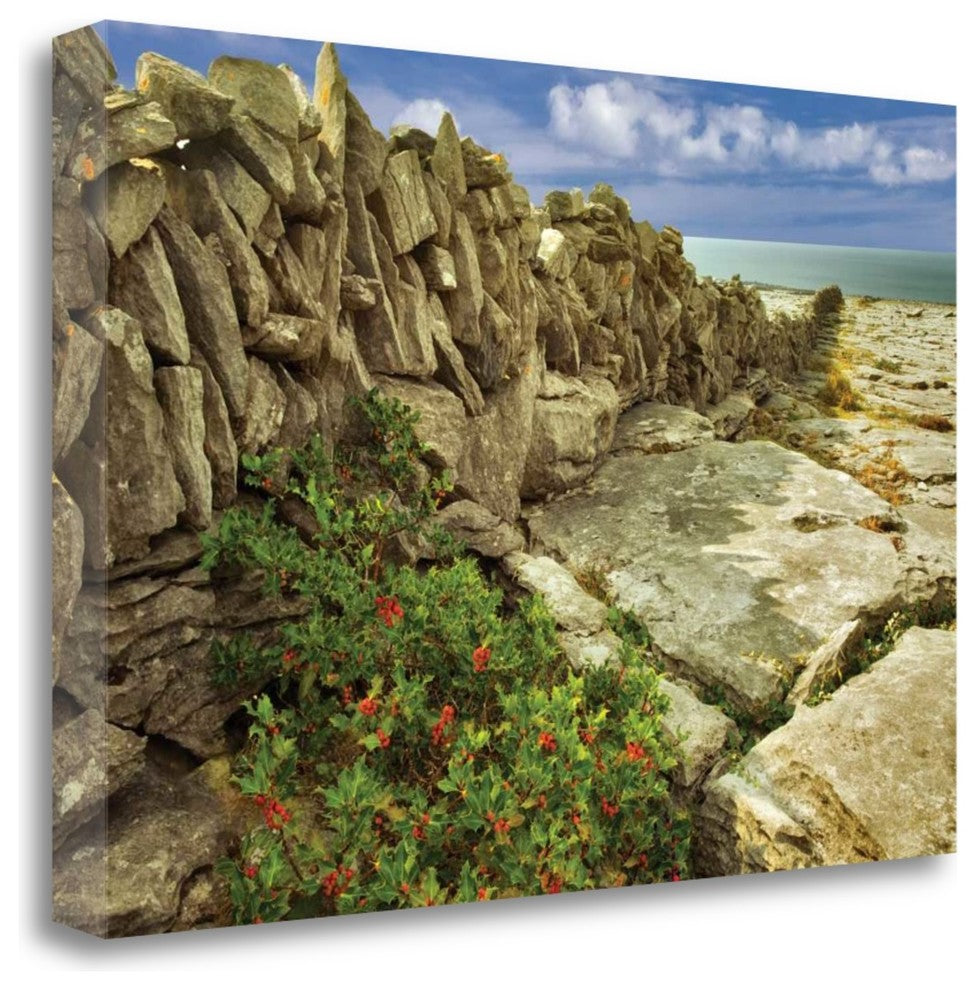 "Through The Cracks" By Dennis Frates, Giclee Print on Gallery Wrap Canvas