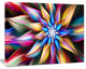 Exotic Multi Color Flower Petals, Floral Canvas Art Print, 20"x12"