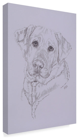 "Labrador Illustration" by Barbara Keith, Canvas Art