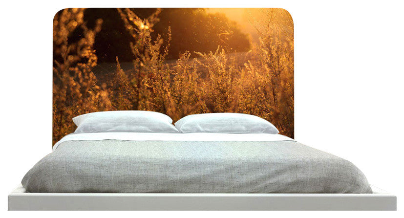 "Morning Sunny Field" Headboard