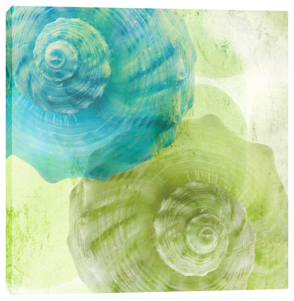 "Luminous Seashells 3" Giclee Canvas Wall Art, 12"x12"