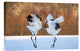 "The Dance Of Love" Stretched Canvas Giclee by C. Mei, 18x12"