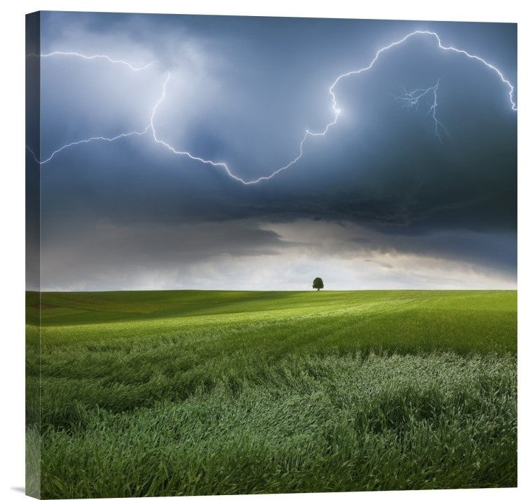 "Someplace In Summer" Stretched Canvas Giclee by Franz Schumacher, 18"x18"