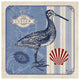 "Sea Bird III" Digital Paper Print by Studio Mousseau, 38"x38"