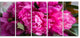 Pink Peonies on Wooden Background, Flower Artwork on Canvas, 60"x28", 5 Panels