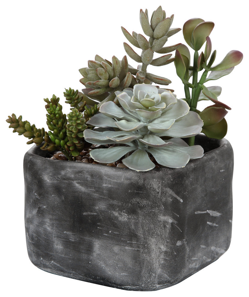 Uttermost Alverio Desert Garden Succulents