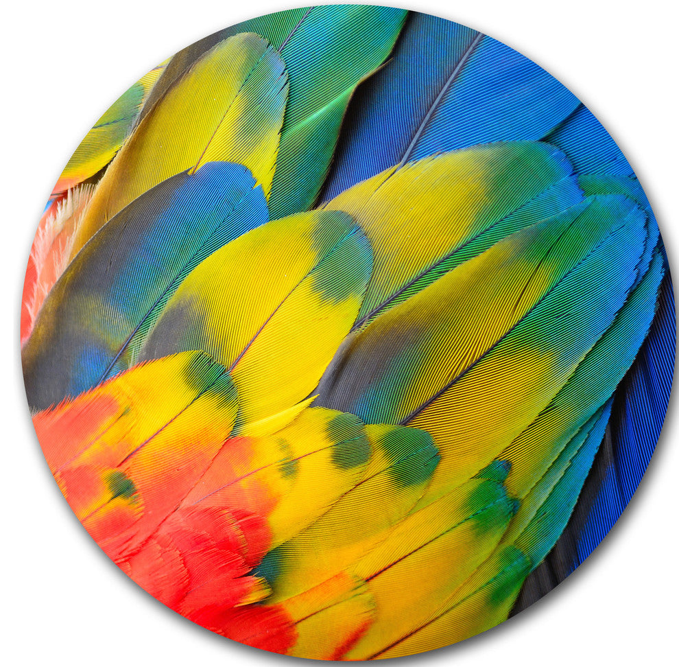 Scarlet Macaw Feathers, Photography Large Disc Metal Wall Art, 38"