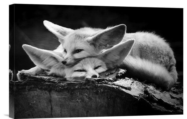 "The Happy Couple" Stretched Canvas Giclee by Inna Blar, 18x12"