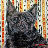 "Australian Kelpie" Painting Print on Wrapped Canvas, 24"x24"