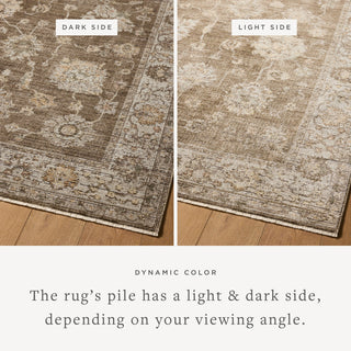Loloi Priscilla Bark / Ivory 7'-10" x 10' Area Rug