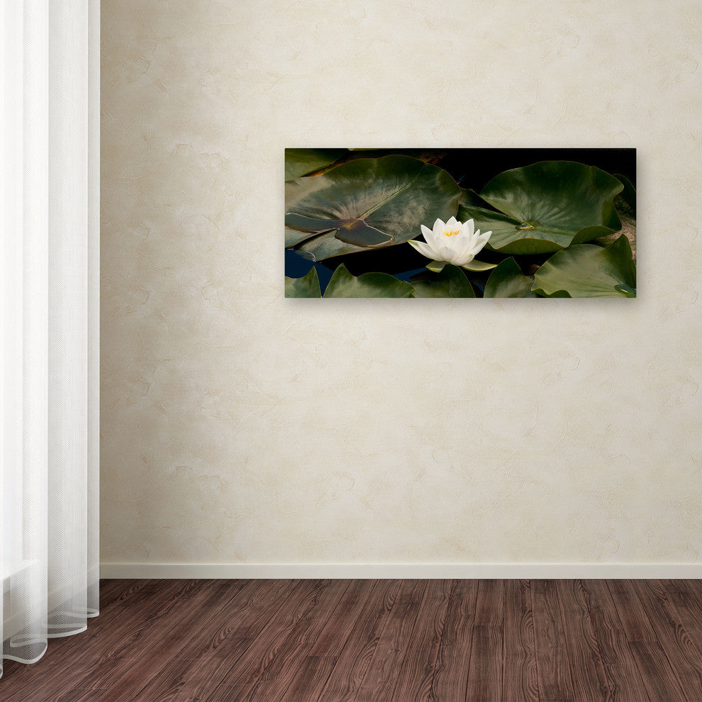 'Zen Lily' Canvas Art by Kurt Shaffer